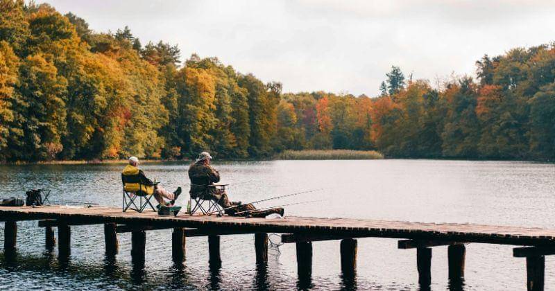 Pexels/Tomasz Filipek